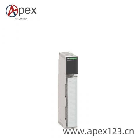 Schneider 140ACO02000 Analog Output Module, Control Systems Automation