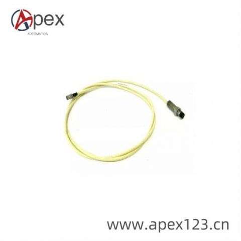 BENTLY 10244-27-50-01 Industrial Vibration Monitoring Module