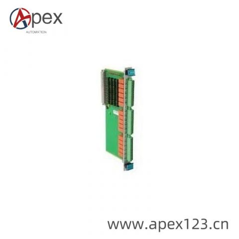 Vibro-Meter VM600 200-595-067-114 Industrial Vibration Monitoring Module