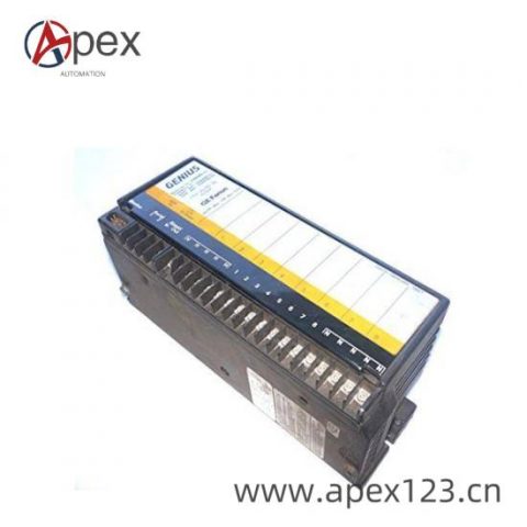 GE IC660BBD101 Customized I/O Module