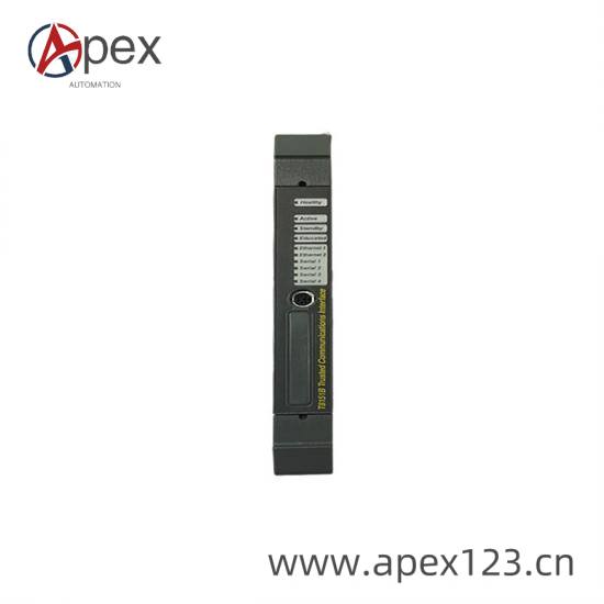 ics_triplex_t8151b_2.jpg ICS Triplex T8151B Dedicated Interface Module for Production Lines, Railways, and Water Treatment Plants