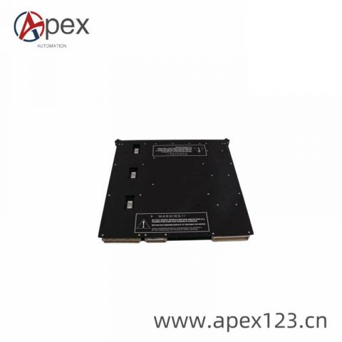 TRICONEX 9563-810 Ideal Air Flow and Air/Fuel Ratio Module