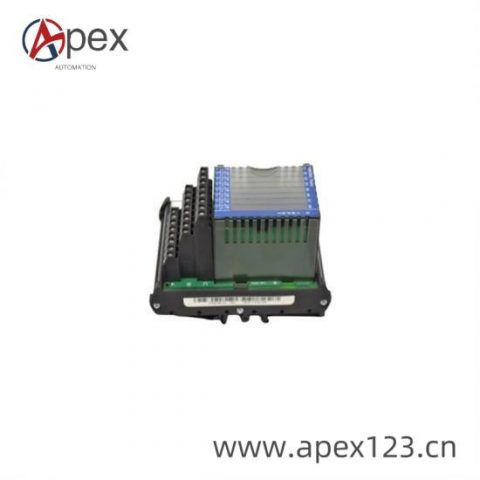 FOXBORO P0800DV Control Module for Industrial Automation Systems