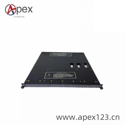 TRICONEX 3636R Application Software