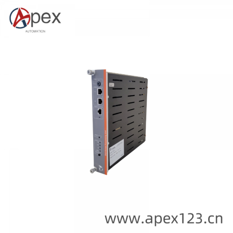 METSO IOP111 Custom Processing Module