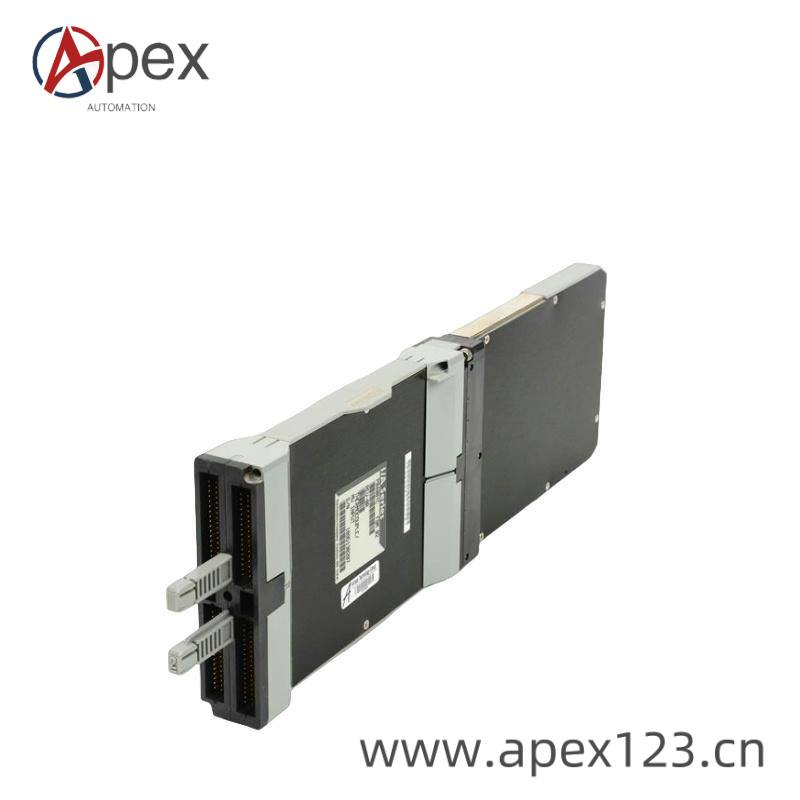 foxboro_p0800da_1.jpg FOXBORO P0800DA Multifunction Module