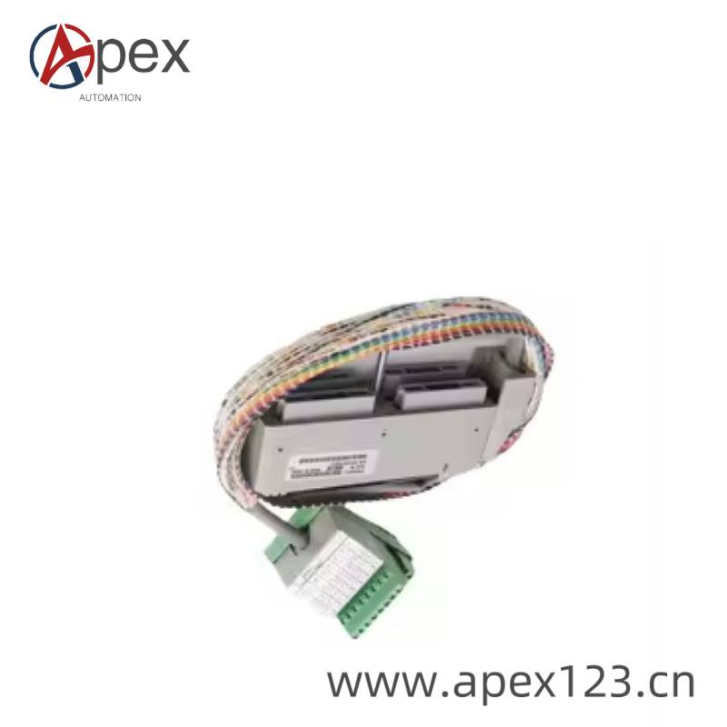 foxboro_p0800da_3.jpg FOXBORO P0800DA Multifunction Module