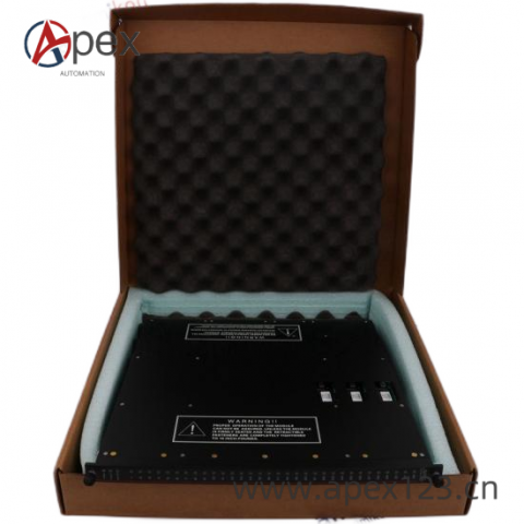 TRICONEX 9562-810 Industrial Control Module