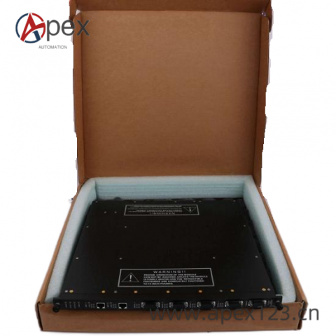 TRICONEX 9760-2 7300150-001 Industrial Control Module