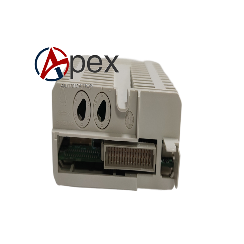 FAU810 (4)